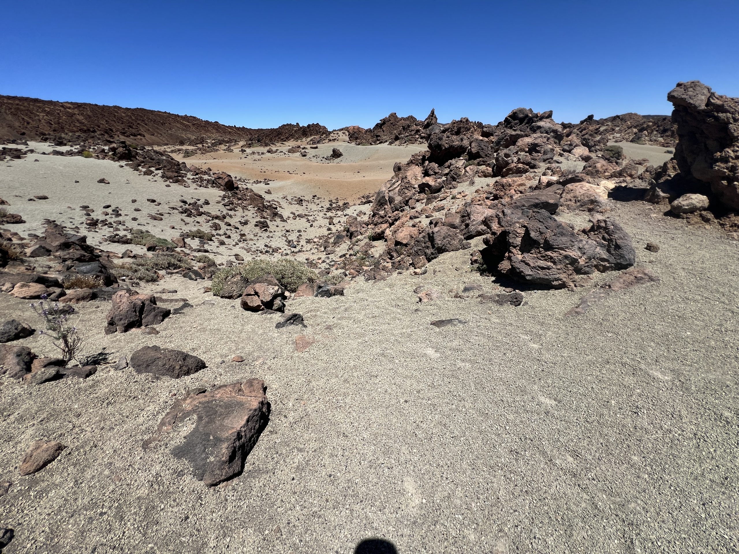Spring on Tenerife